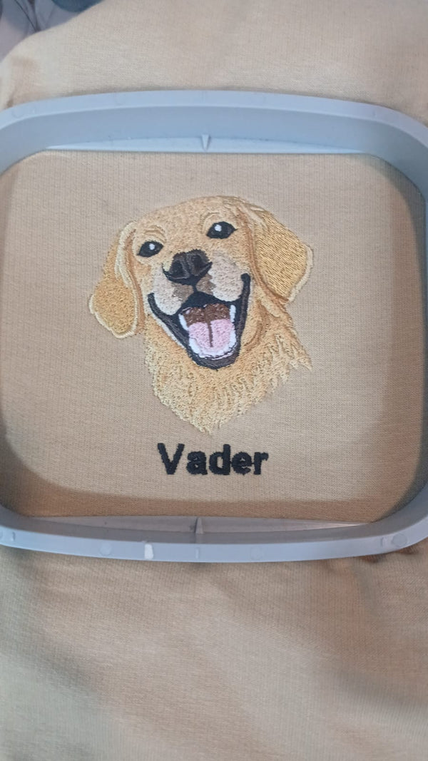 Ishita Joshi's review photo